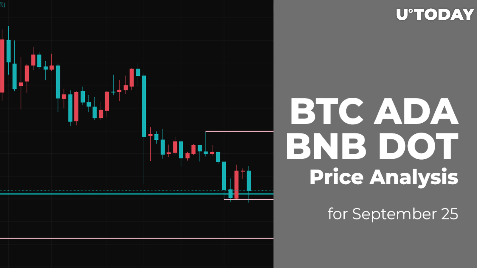 BTC, ADA, BNB and DOT Price Analysis for September 25