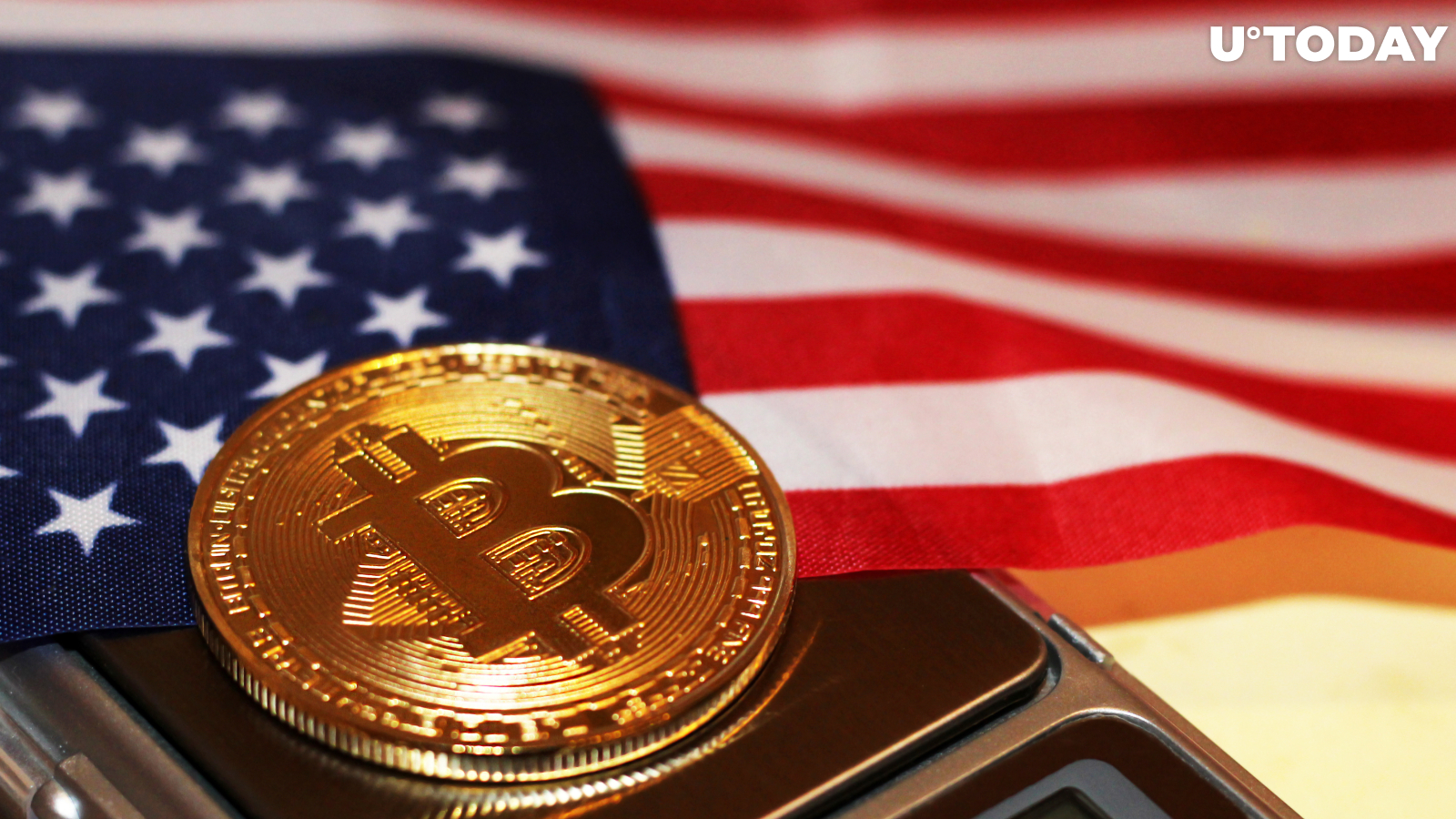 Here's How Many Americans Want to Make Bitcoin Official Currency