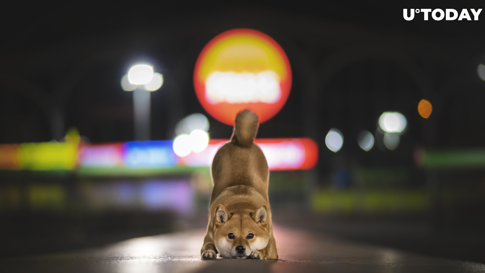 Dogecoin Rival Soars 30 Percent on Coinbase Listing