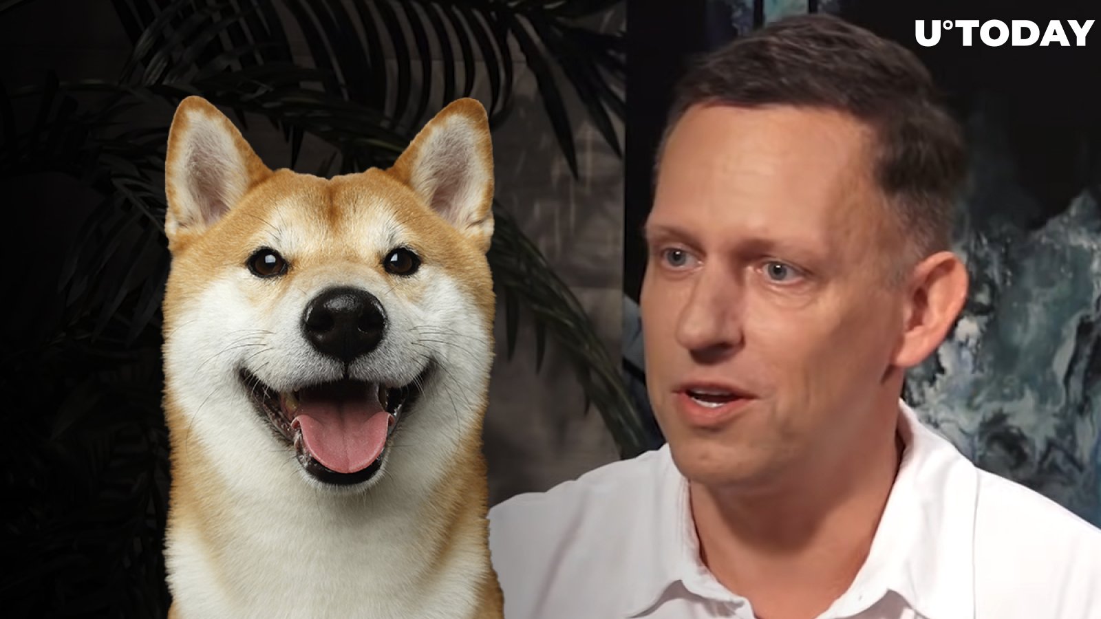 Dogecoin Rival Shiba Inu Starts Trading on Peter Thiel-Backed Cryptocurrency Exchange