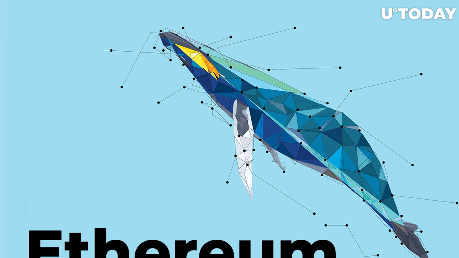 Ethereum Whales Are Stacking Up More Coins, Here's Why It's Bullish