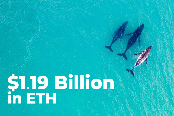 $1.19 Billion in ETH Shoveled by Whales and Top Exchanges as ETH Rises Above $3,600