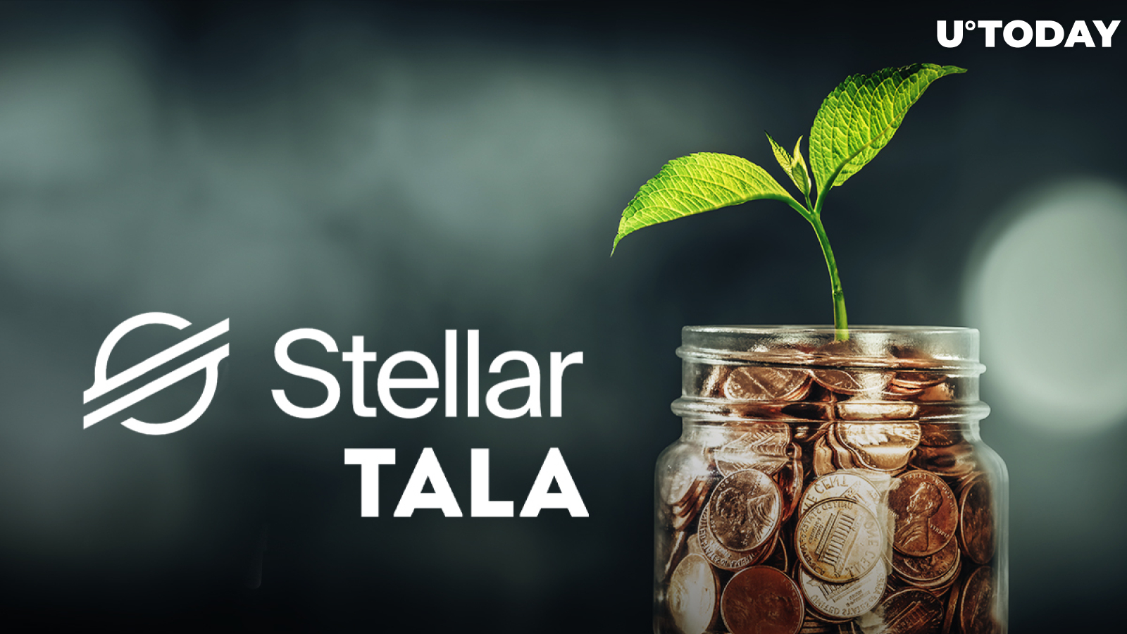 Stellar Helps Fintech Firm Raise $145 Million to Expand Crypto Capabilities After Its Partnership with Visa and Circle 