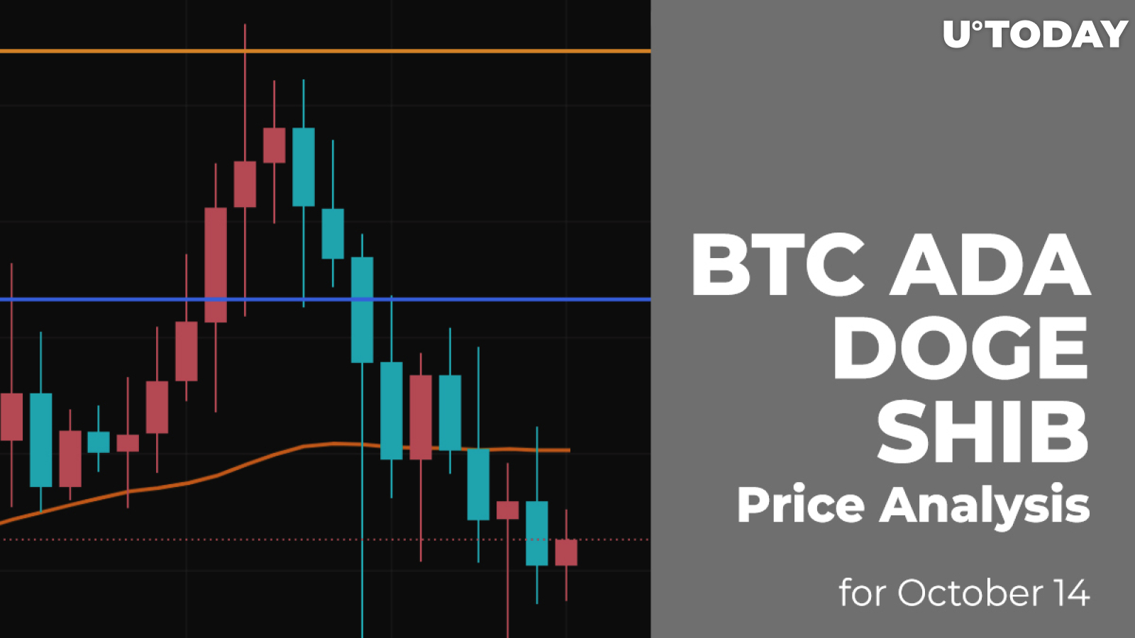 BTC, ADA, DOGE and SHIB Price Analysis for October 14