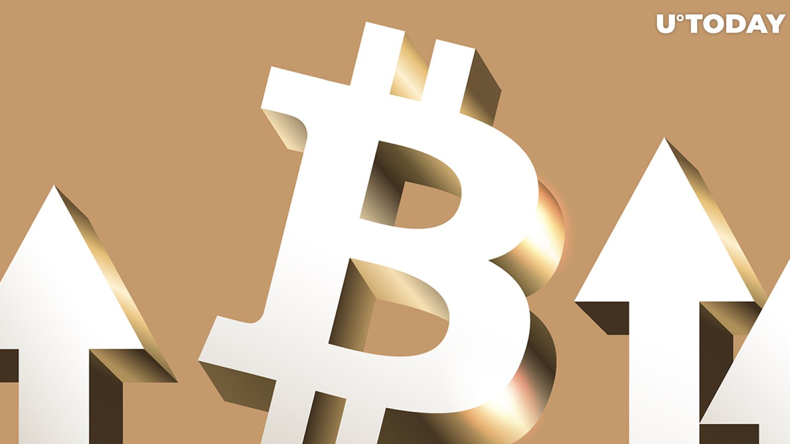 دان مورهد Pantera Capital's: Bitcoin (BTC) در حال حاضر 100٪ در این Bull Run افزایش یافته است