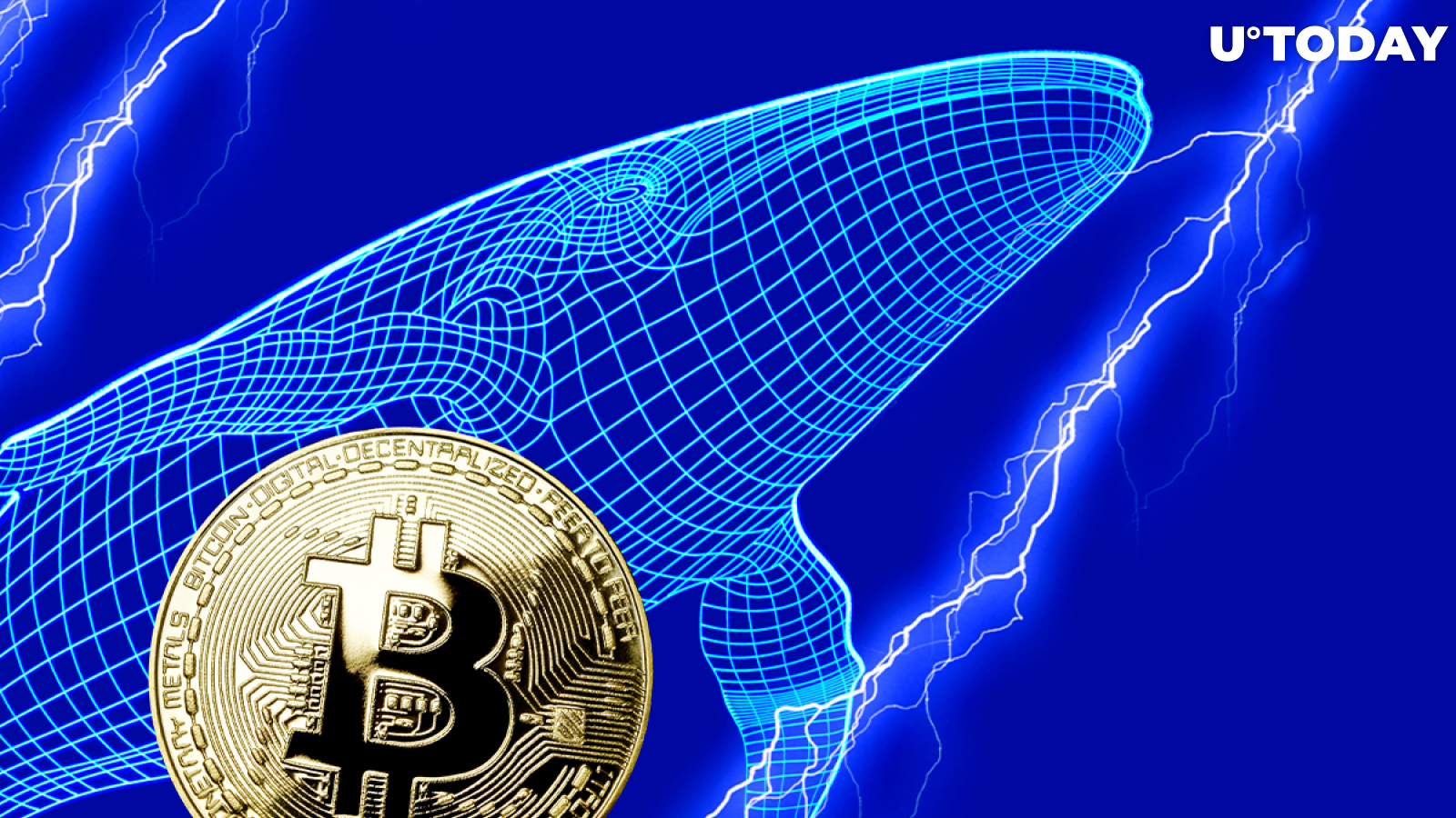 Bitcoin Whales Buying Activity on Rise with 254 New Whales Entering Market