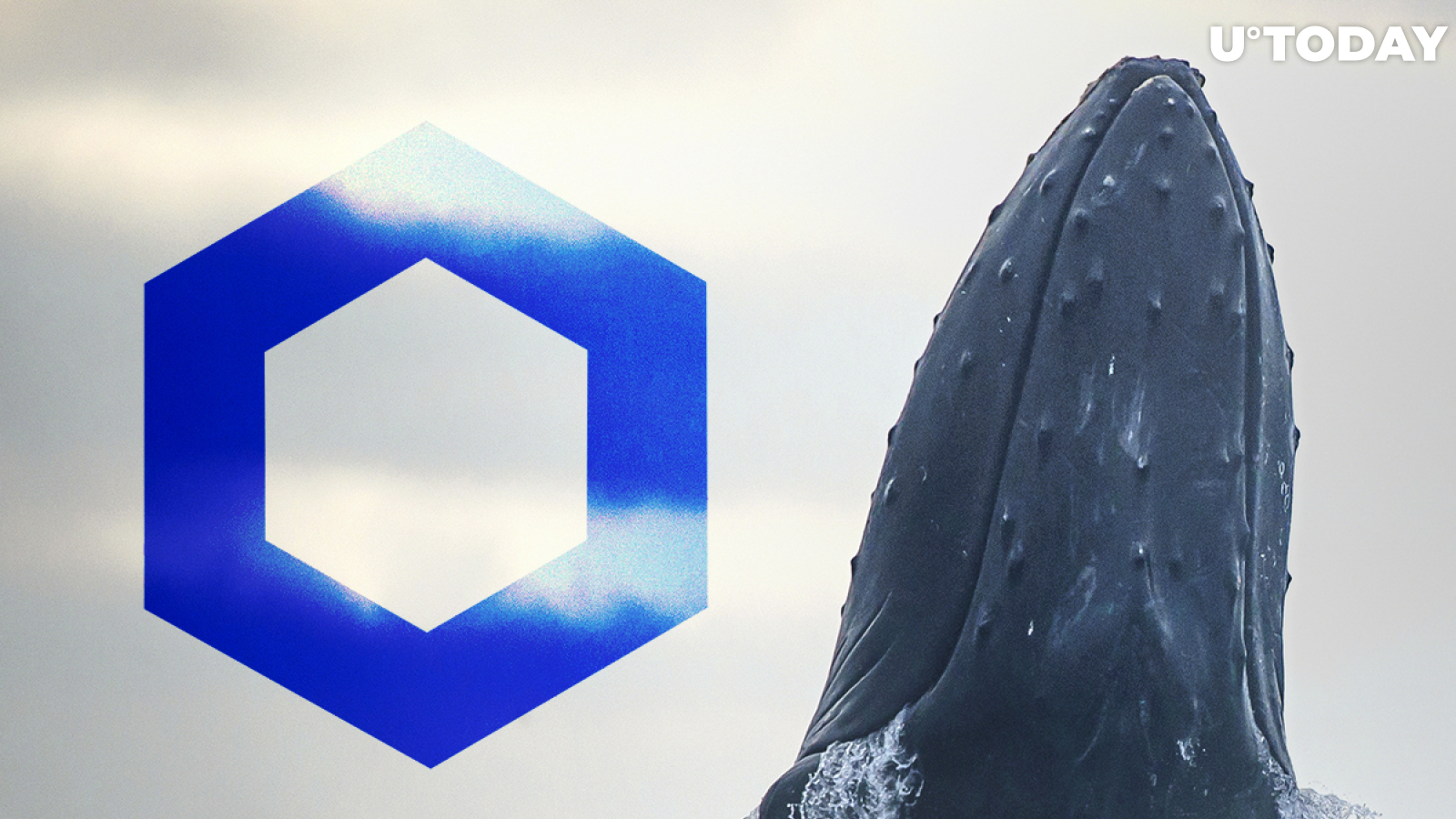 Chainlink Whales Now Hold $431 Million in LINK, Having Bought Dip: Details