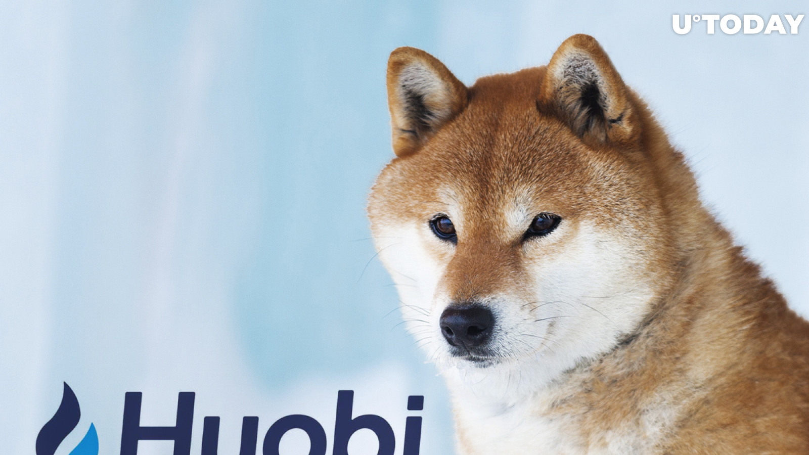 SHIB, DOGE Now Available on Huobi Earn. See the APY