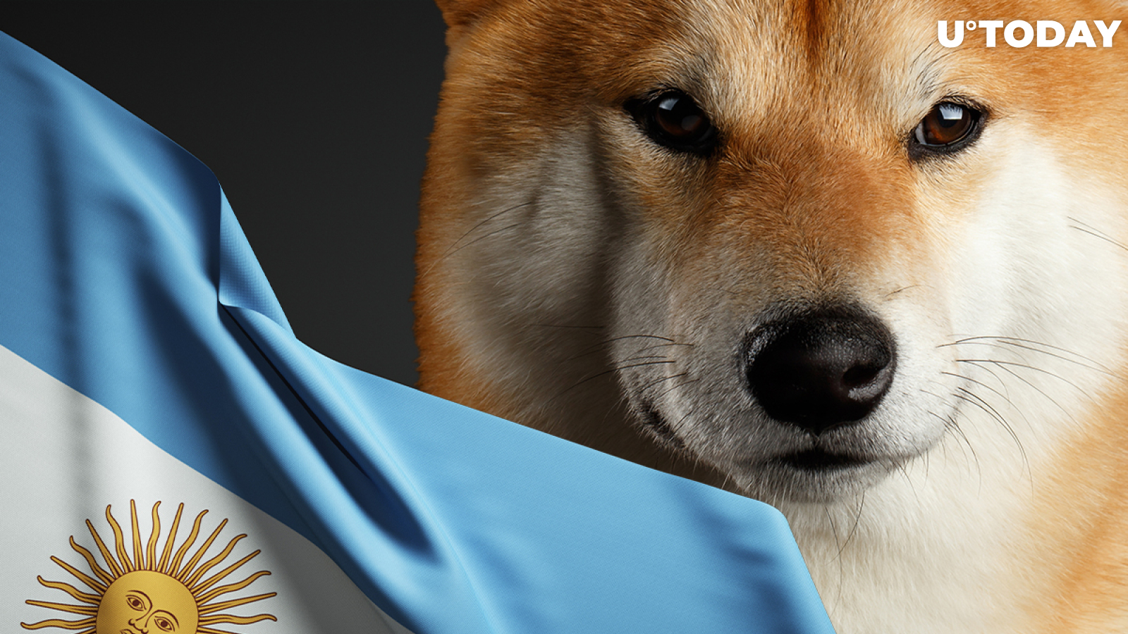 "Dogecoin Killer" Shiba Inu Now Accepted by Argentine Real Estate Agency