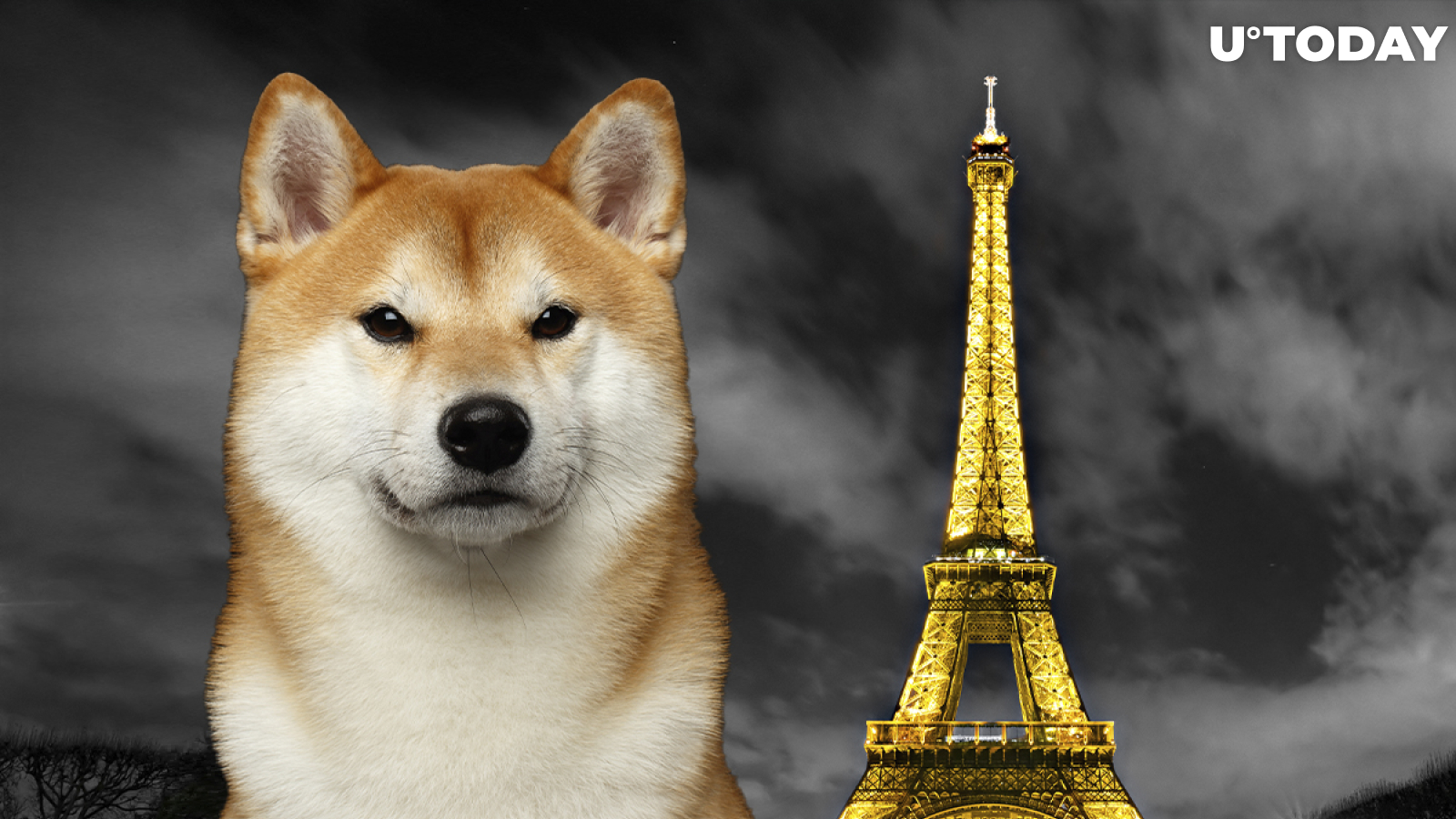 Shiba Inu Now Accepted by Restaurant in Paris