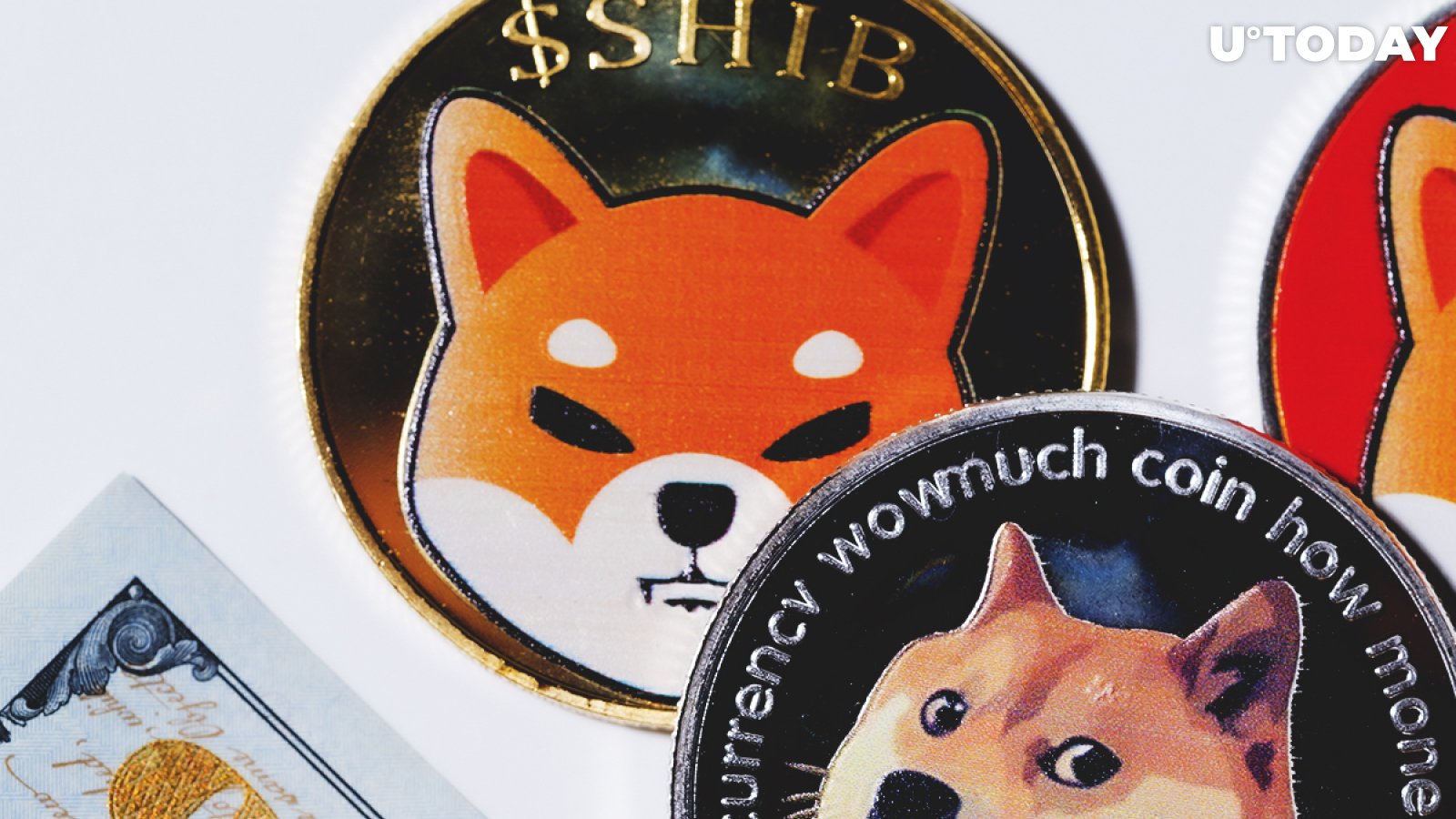 SHIB’s Advantages Over DOGE Shared by Top Bloomberg Journalist, Bitcoin Critic