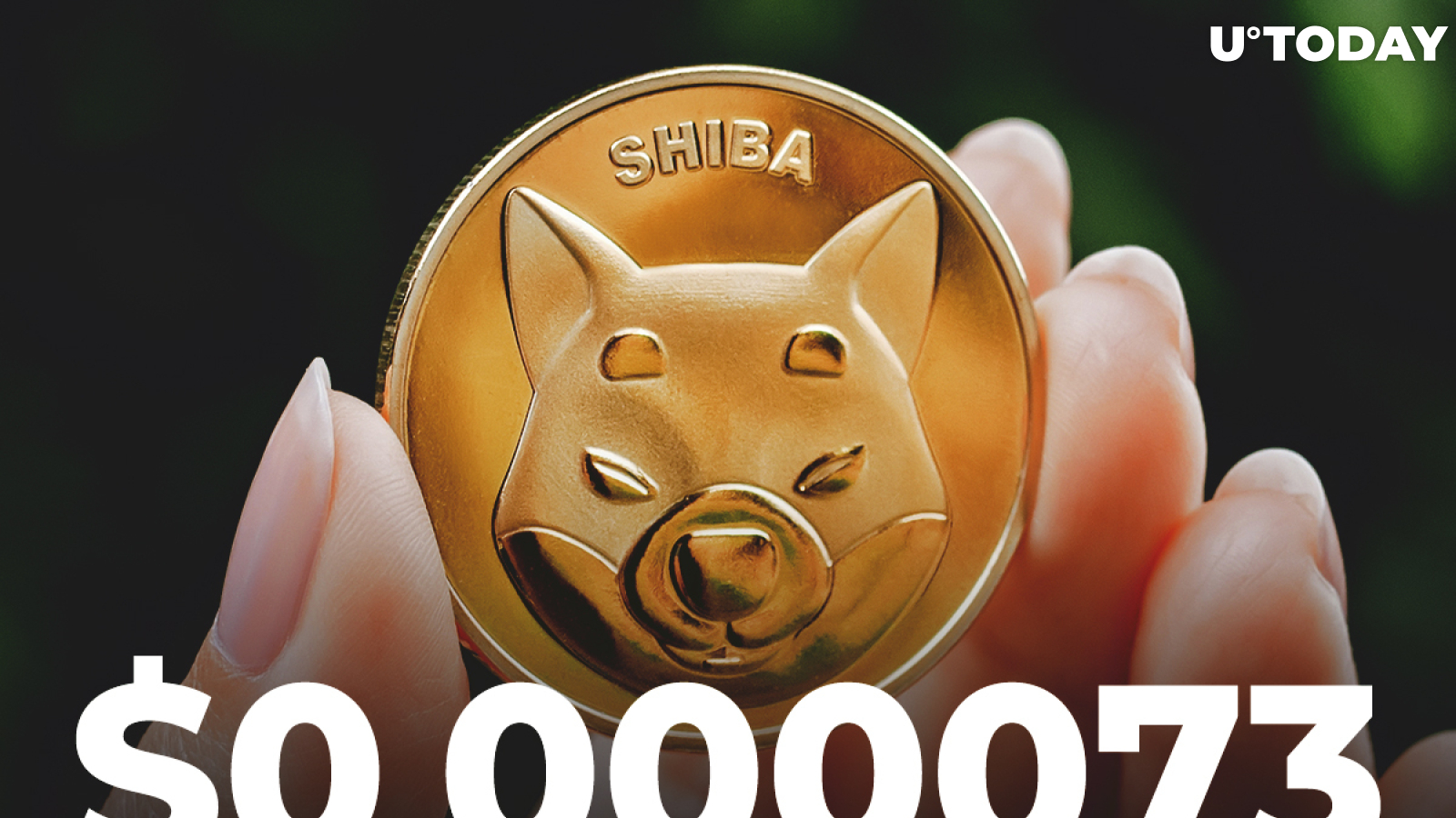 SHIB Recovers to $0.000073 After 22.4 Million SHIB and 8 Million DOGE Were Liquidated in Past Hour