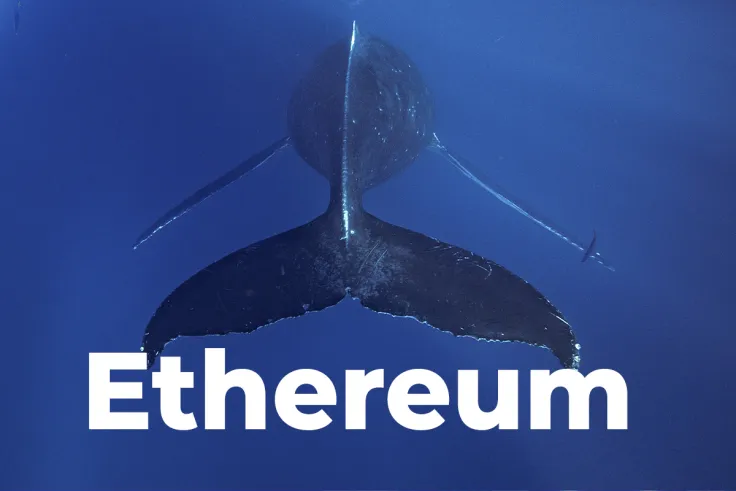 Top 10 Ethereum Non-Exchange Whales Versus Exchange Whales Ratio Hits 5:1 Peak, Here’s What It Means