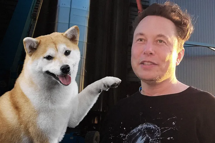 Elon Musk's Shiba Inu Floki Picture Attracts Over 90,000 Tweets