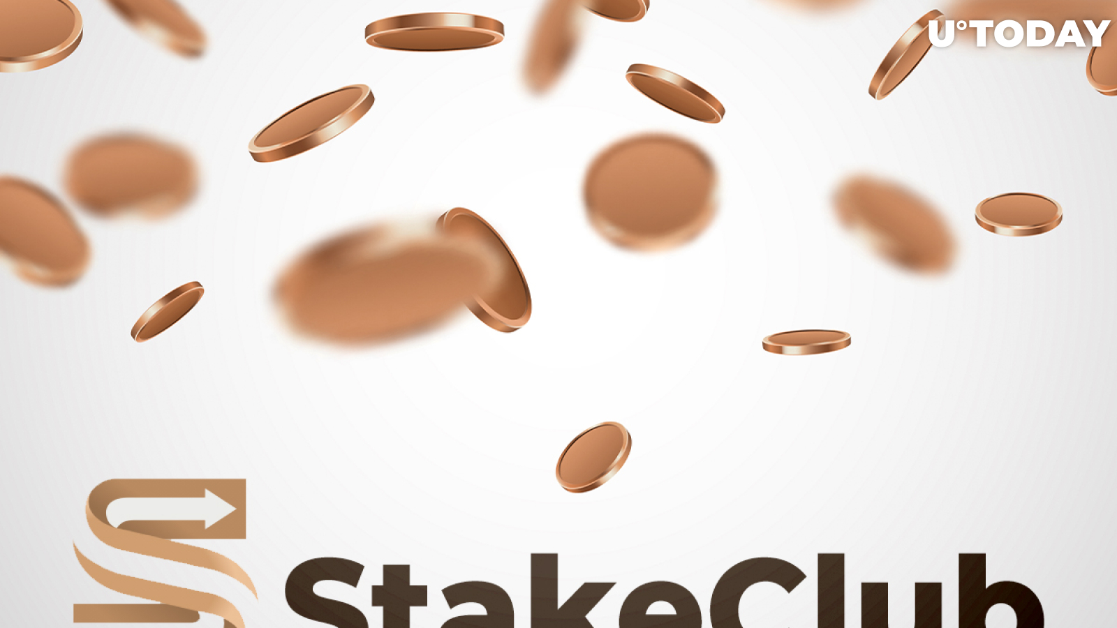 How the Stake Club Platform Works?