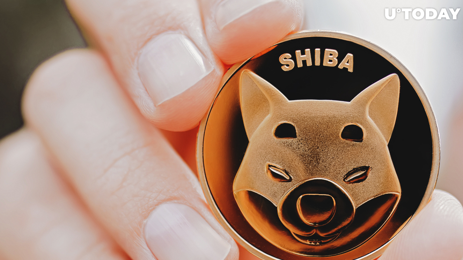 SHIB Is Hitting Crypto Market with Disruptive 370% Rise, Bloomberg Reports