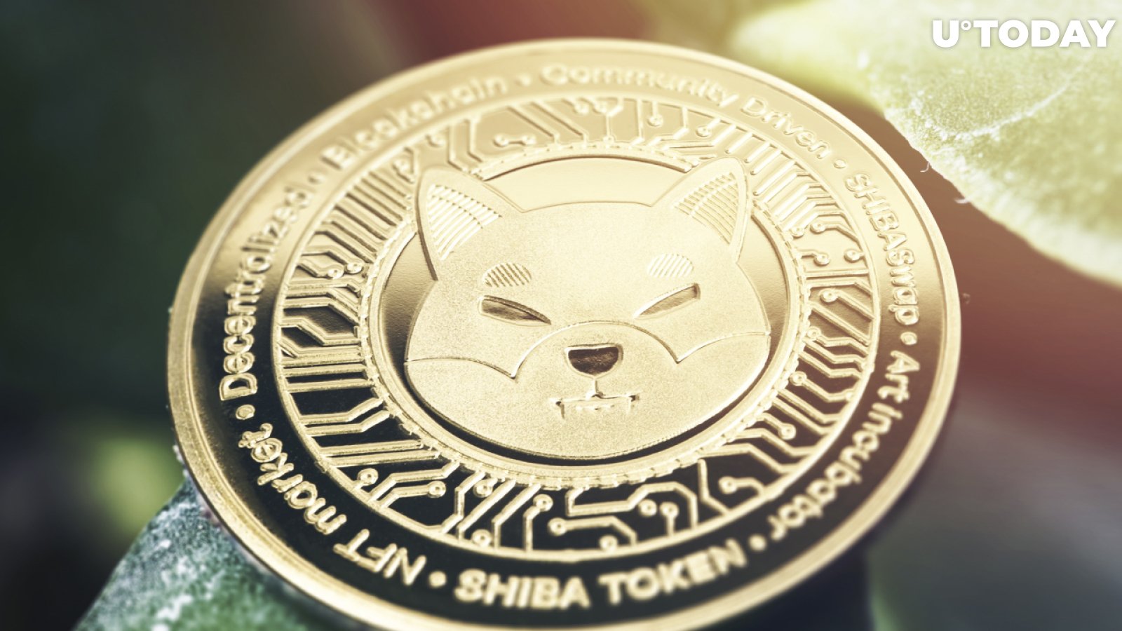 Here's When Shiba Inu Will Be Added to AMC's Crypto Payment Lineup