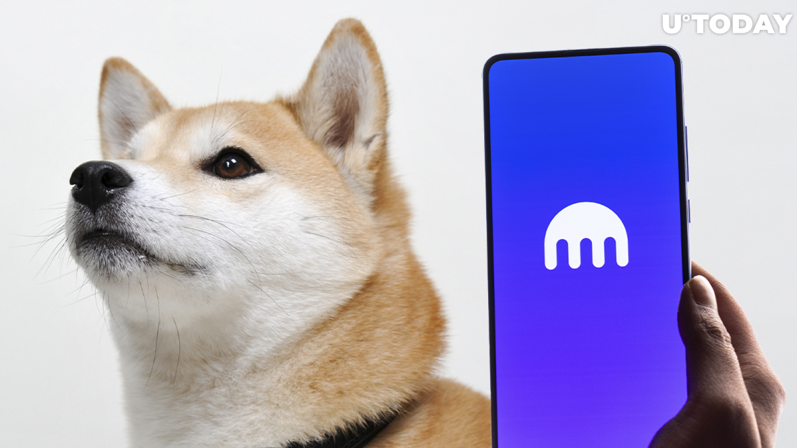 when is shiba being listed on kraken , why is shiba growing