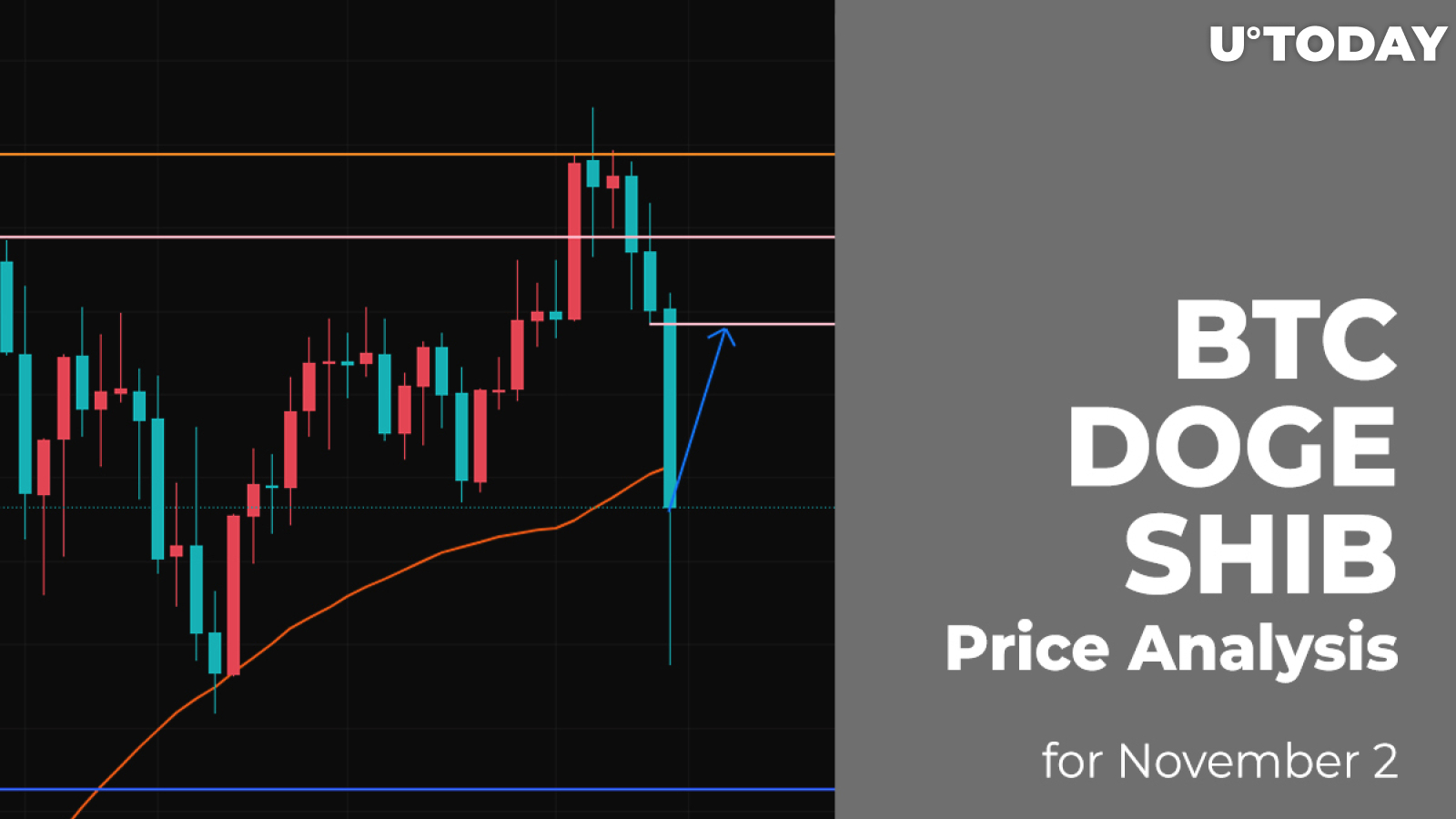 BTC, DOGE and SHIB Price Analysis for November 2