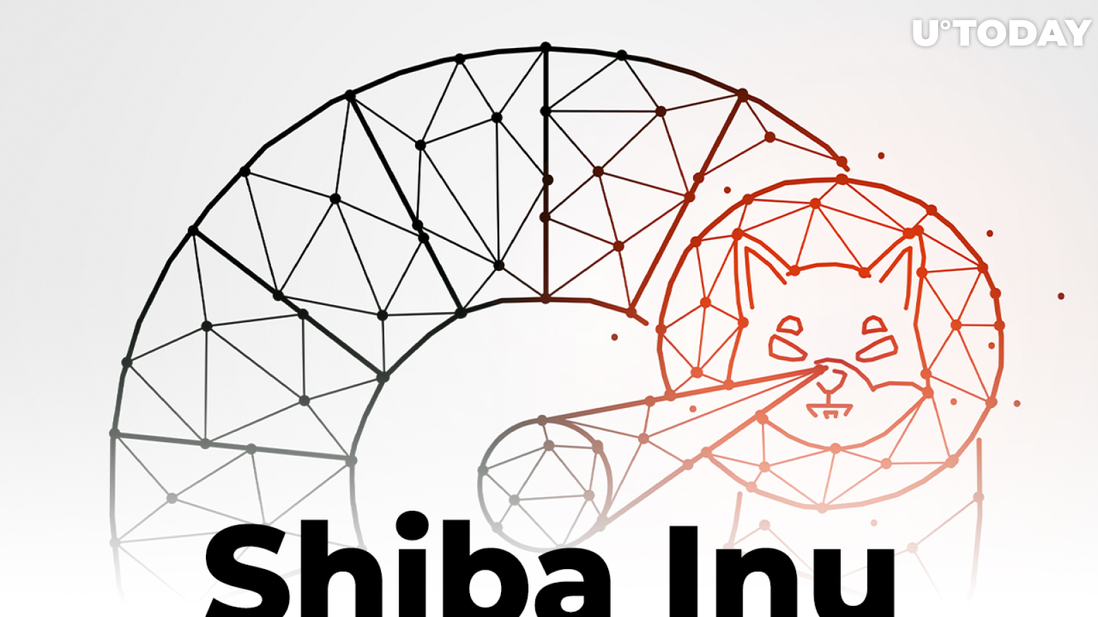 Shiba Inu Network Activity Drops to Summer Levels