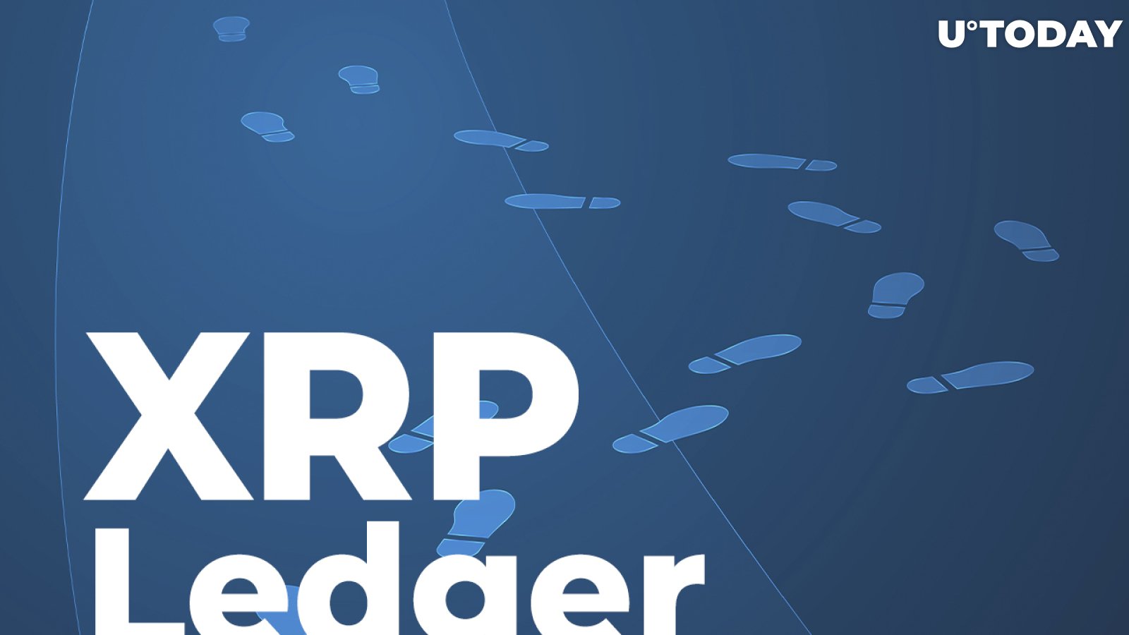 XRP Ledger Is Back on Track After Temporary Halt