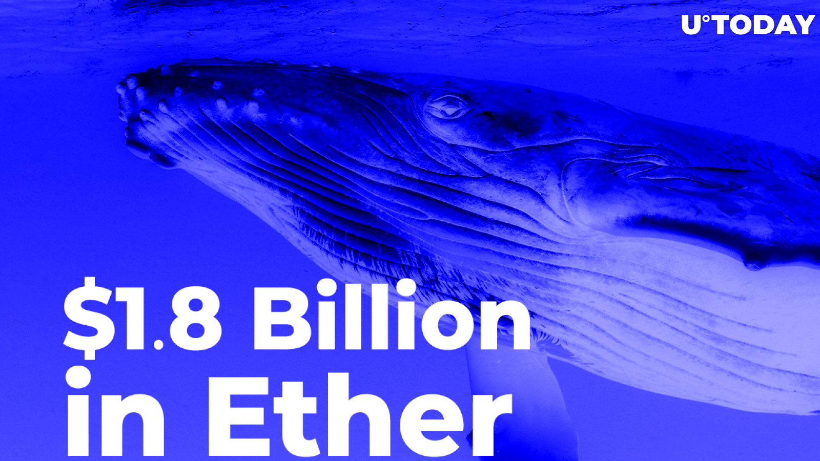 Whales Shovel $1.8 Billion in Ether After Coin Hits New All-Time High