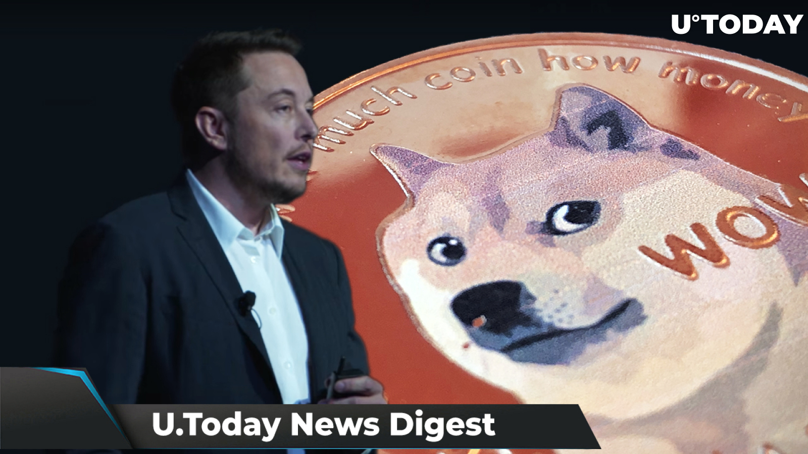 Musk Named New Fake Board Chairman of Dogecoin, SHIB Network Activity Drops, SHIB Amazon Petitions Gain 173,373 signatures: Crypto News Digest by U.Today