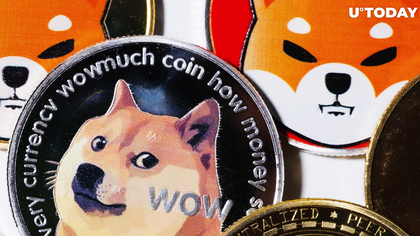 Dogecoin Co-Founder Wants Shiba Inu Community to Leave Him Alone