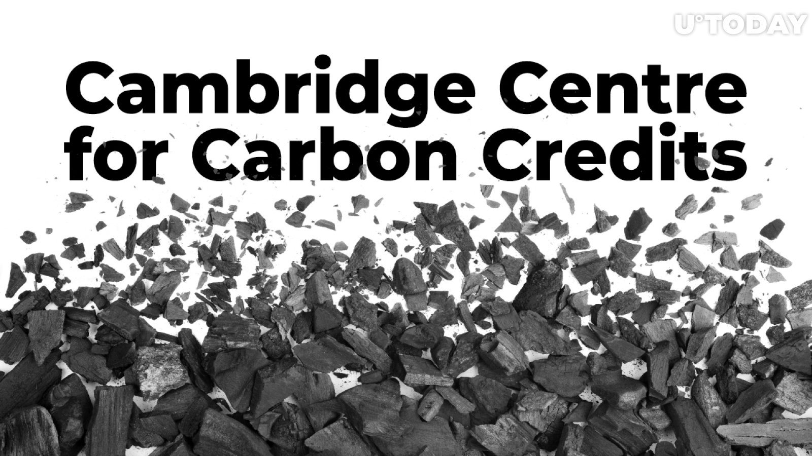 Tezos-Based Cambridge Centre for Carbon Credits to Support Reforestation Initiatives