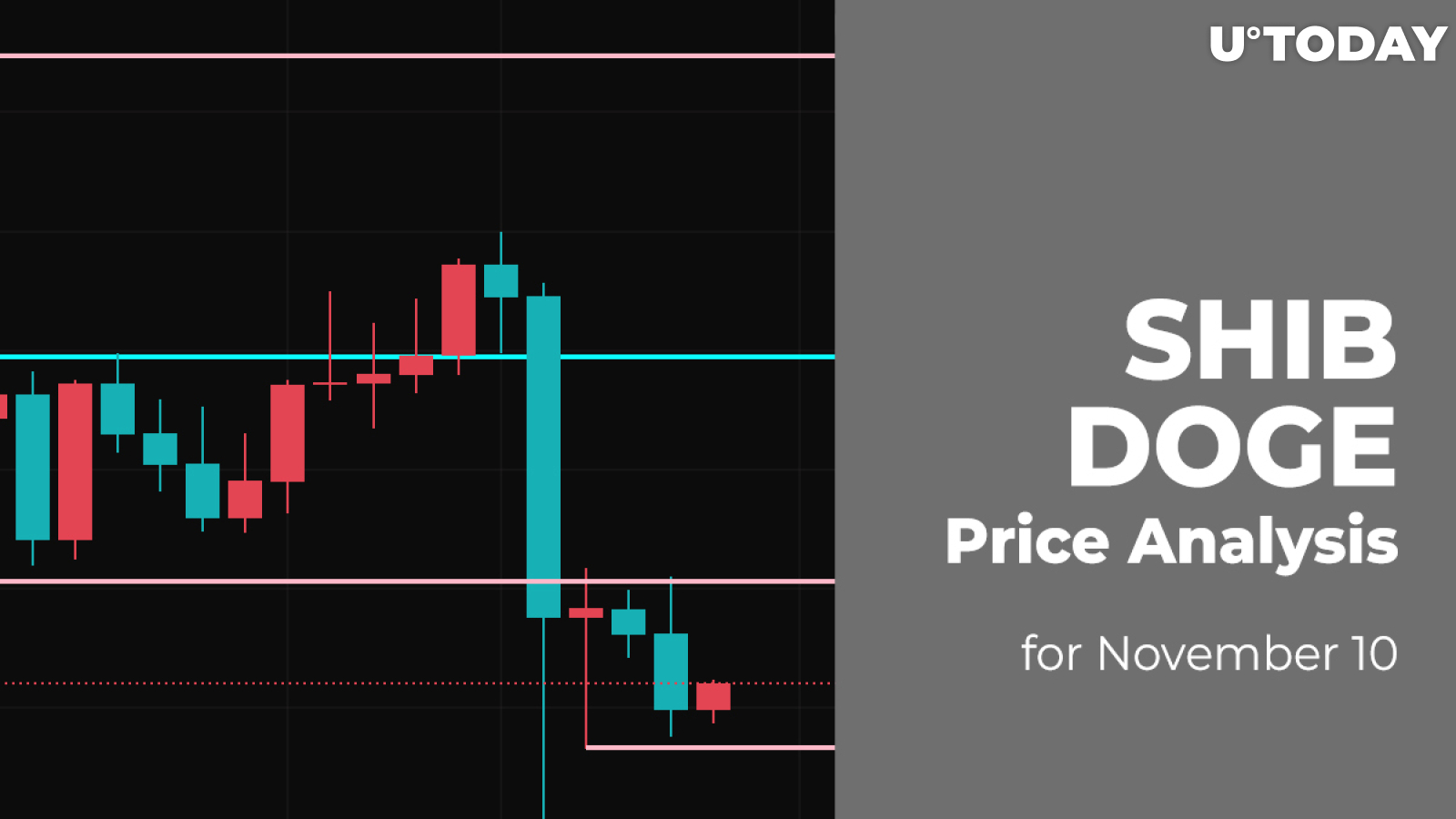 SHIB and DOGE Price Analysis for November 10