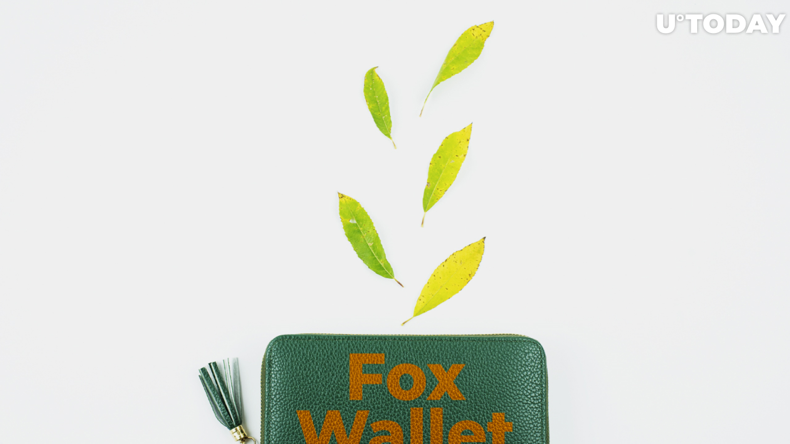 First-ever Decentralized Wallet for Filecoin Ecosystem: Introducing Fox Wallet