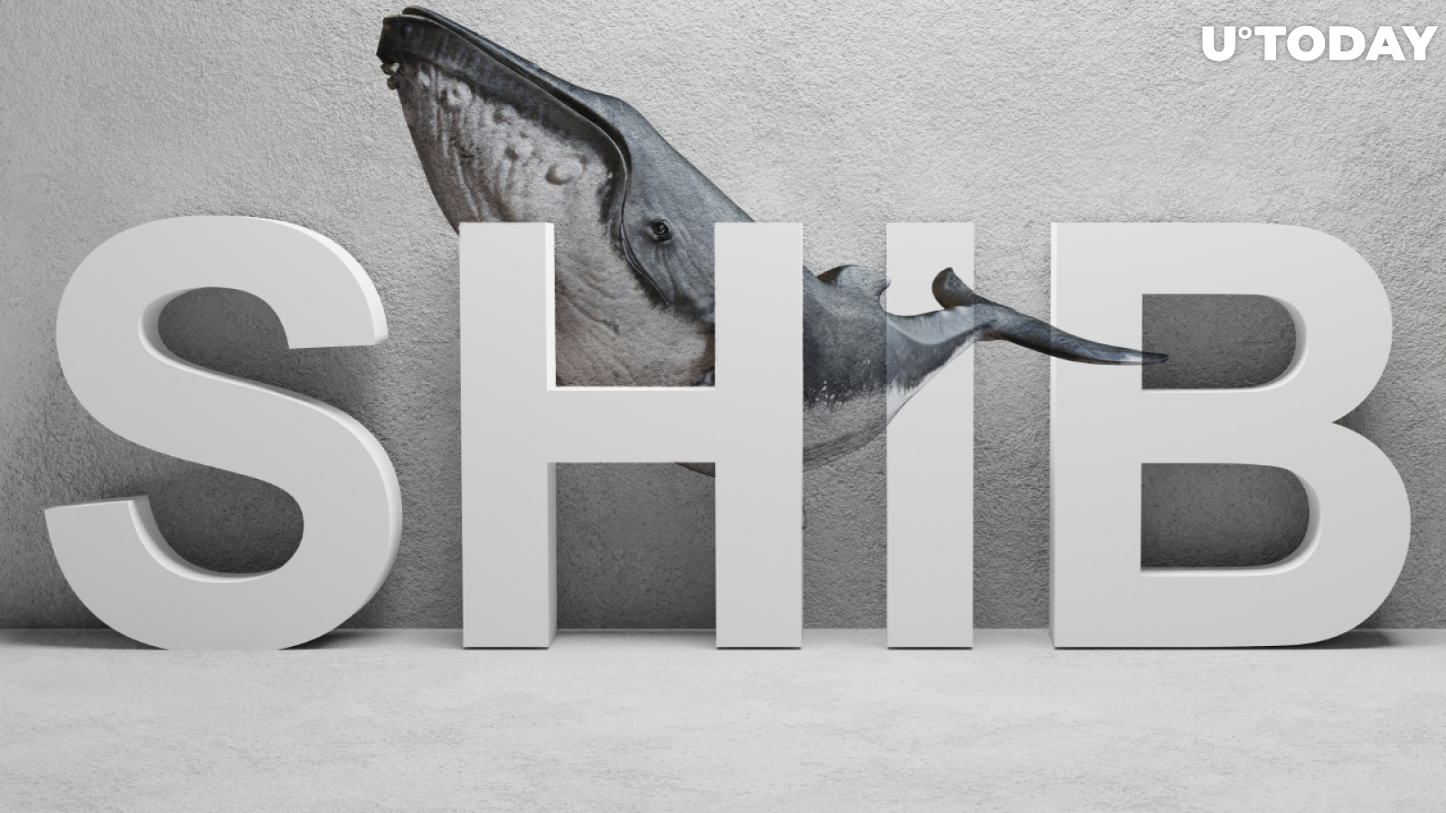 SHIB Whales Bought 20 Billion Tokens Each During Dip
