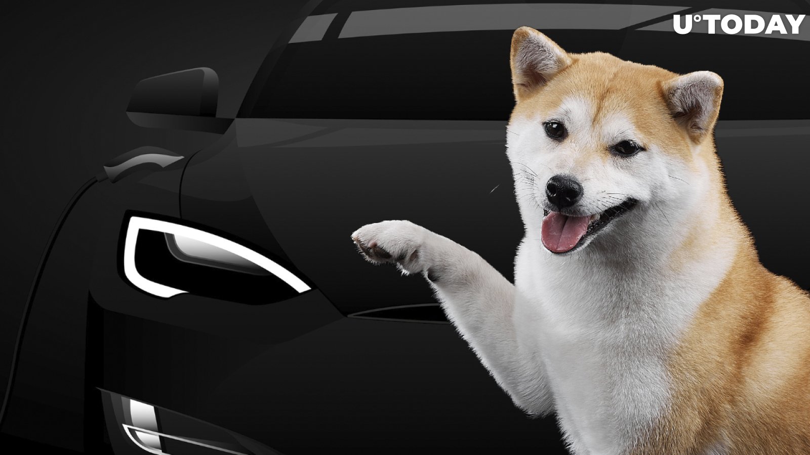 Shiba Inu Compared to Amazon-Backed Tesla Competitor by Early Lyft Investor