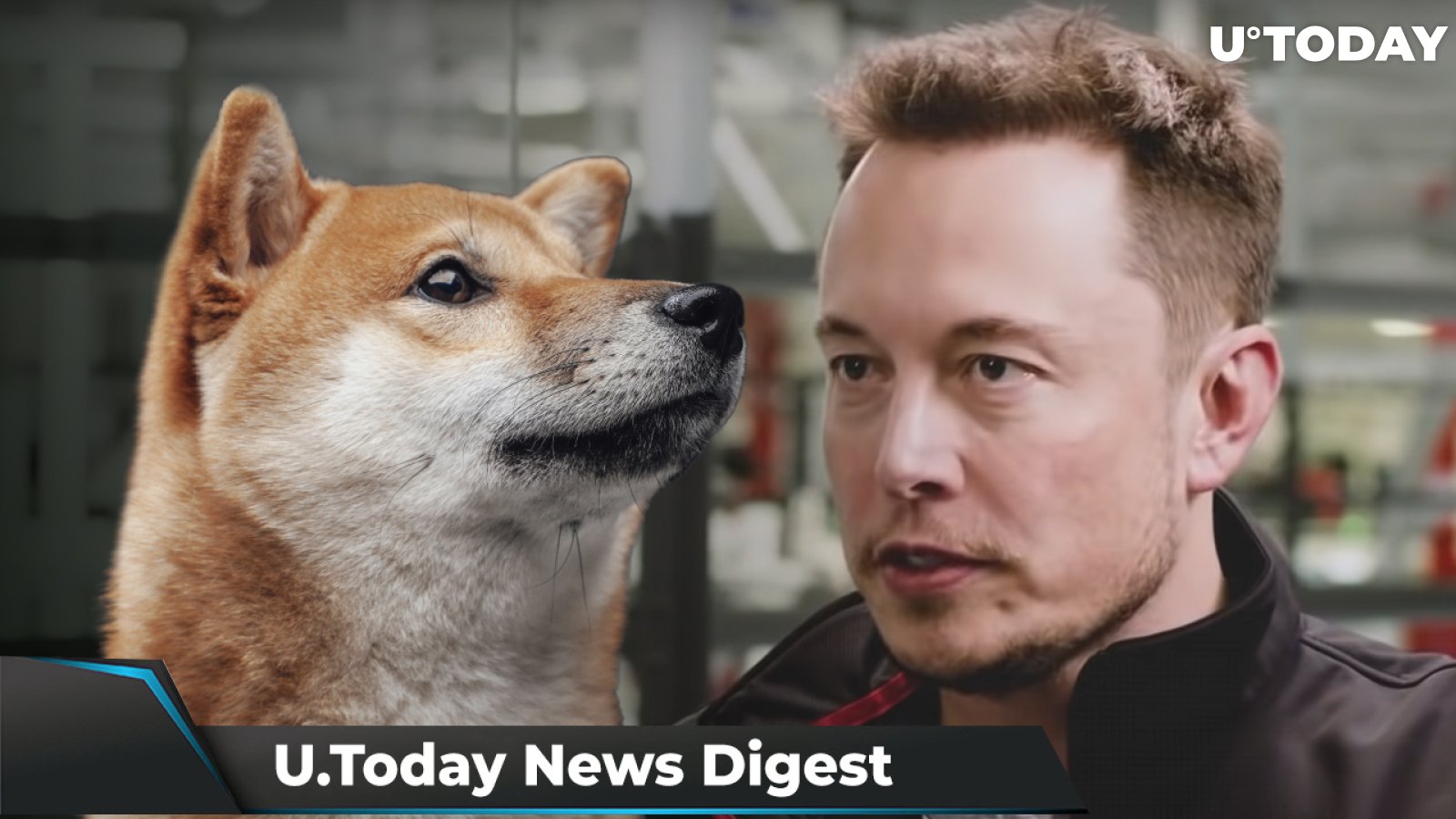 SHIB to Be Listed on CoinDCX Go App, Crypto Is Now Banned for Muslims, Musk-Inspired Coin Surges 20x, Then Loses 95%: Crypto News Digest by U.Today