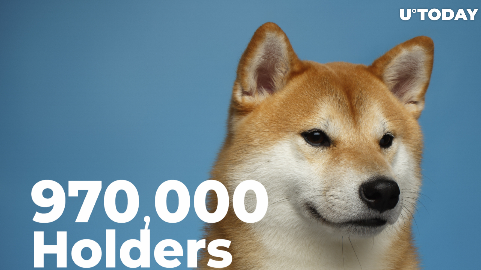 Shiba Inu Passes New Record of 970,000 Holders