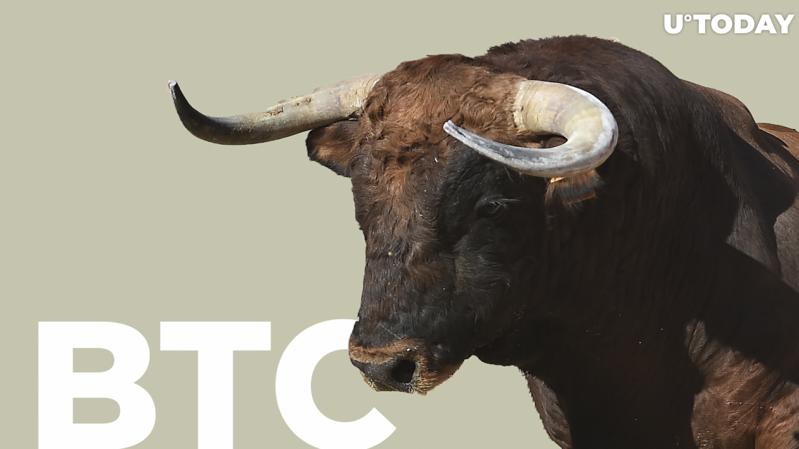 Crypto Analyst Shared One More Simple Indicator for BTC Bull Run Peak