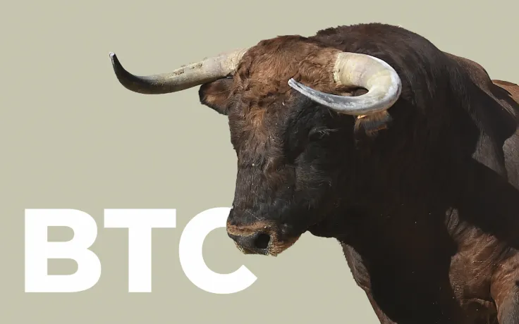 Crypto Analyst Shared One More Simple Indicator for BTC Bull Run Peak