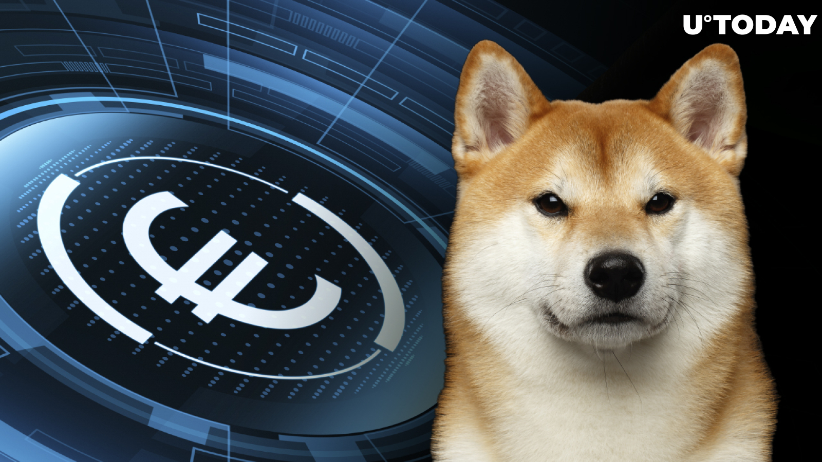 Shiba Inu Can Now Be Traded Against Euro on Peter Thiel-Backed Crypto Trading Platform
