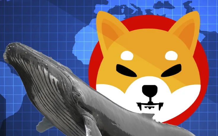 Shiba Inu Dominance Reaches 21% Among Whale-Tier Holders