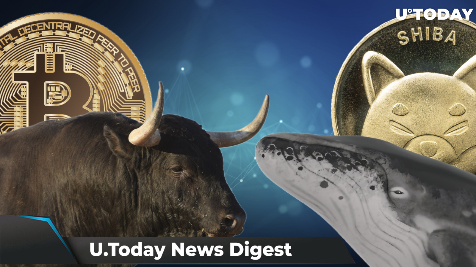 SHIB Whale Buys 171 Billion Tokens, BTC Bulls Are Betting on $100,000-$200,000, Shiba Inu Integrated by CoinGate: Crypto News Digest by U.Today