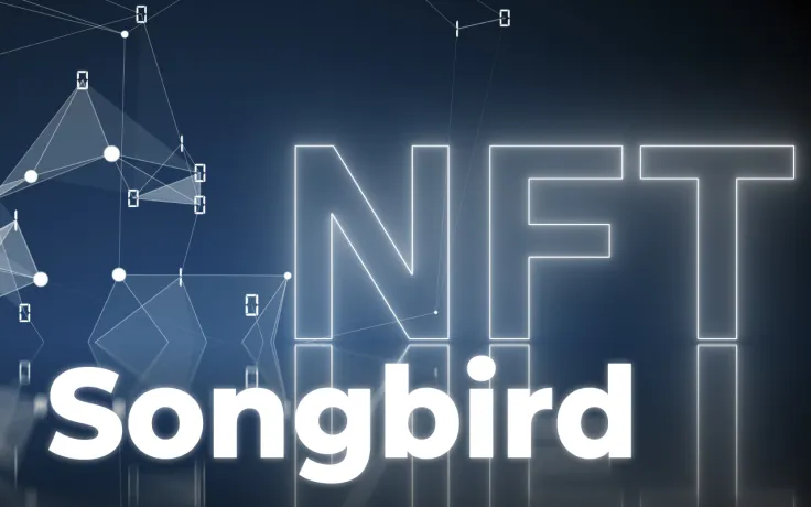 Flare Community NFTs Go Live on Songbird: Details