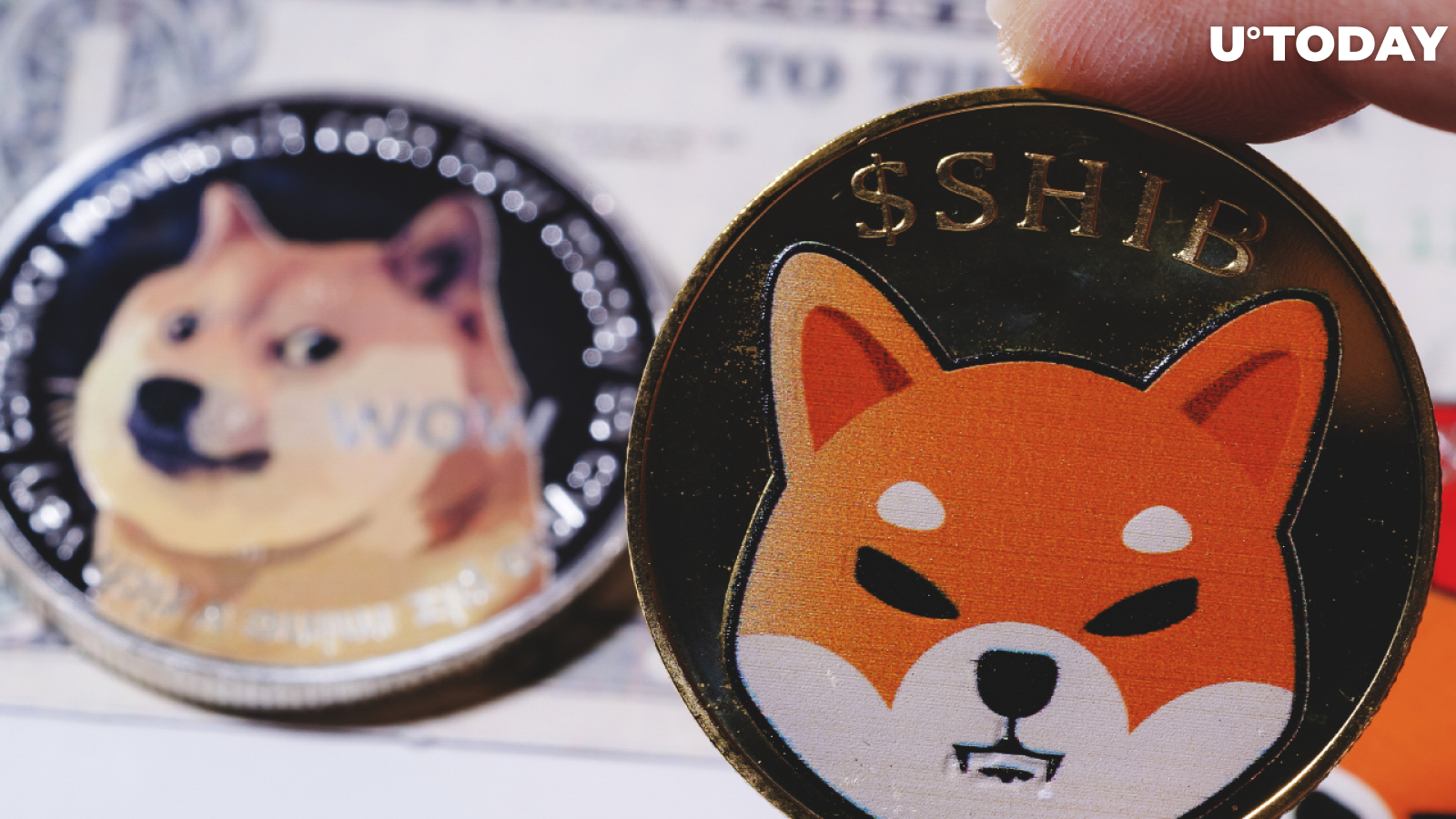 Dogecoin Creator Addresses "Harassing" and "Insulting" Shiba Inu Community