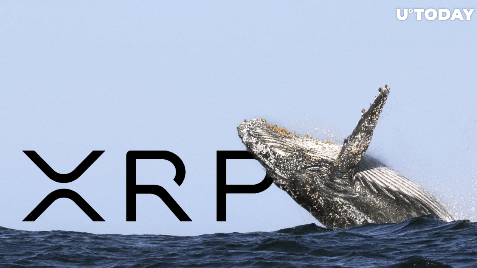 XRP Whale Withdraws 10 Million Coins from Exchange