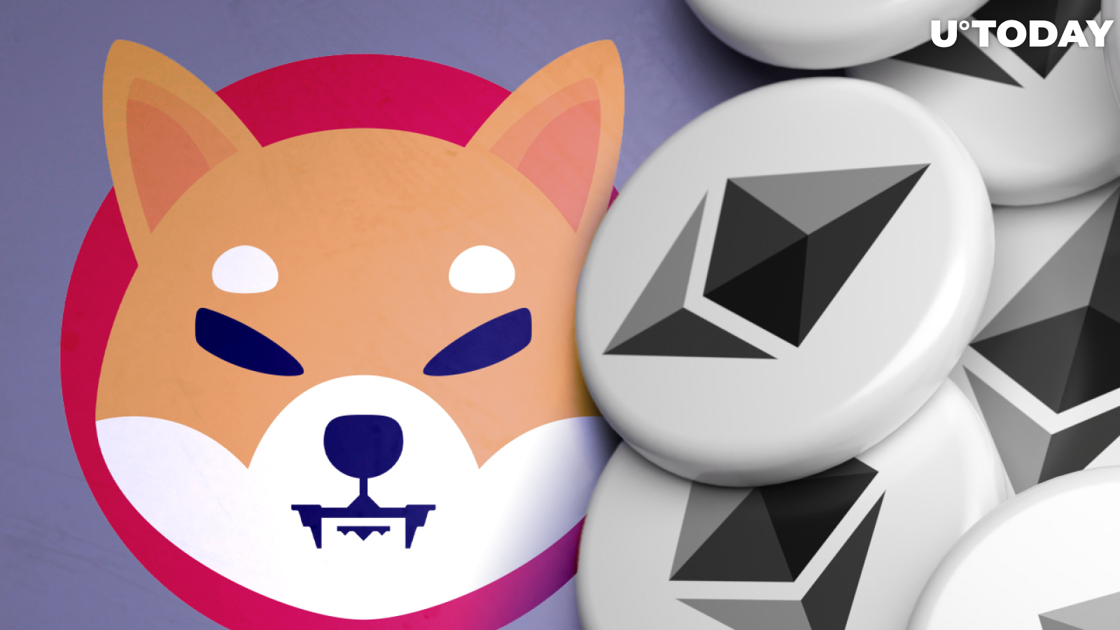 Largest Ethereum Wallets Hold Almost 50 Trillion Shib Tokens