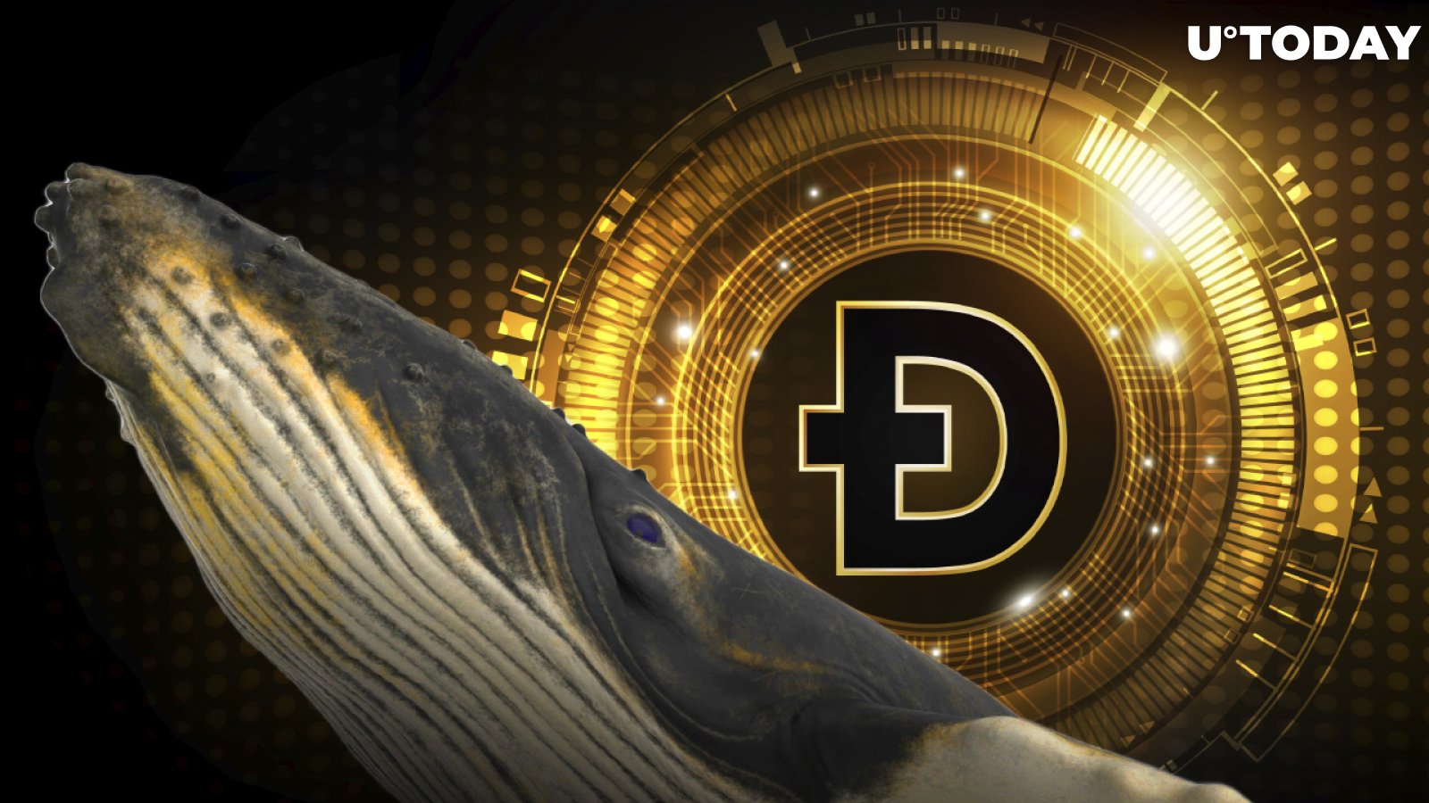 Whales Are Buying Dogecoin According to Smart-Contract Activity