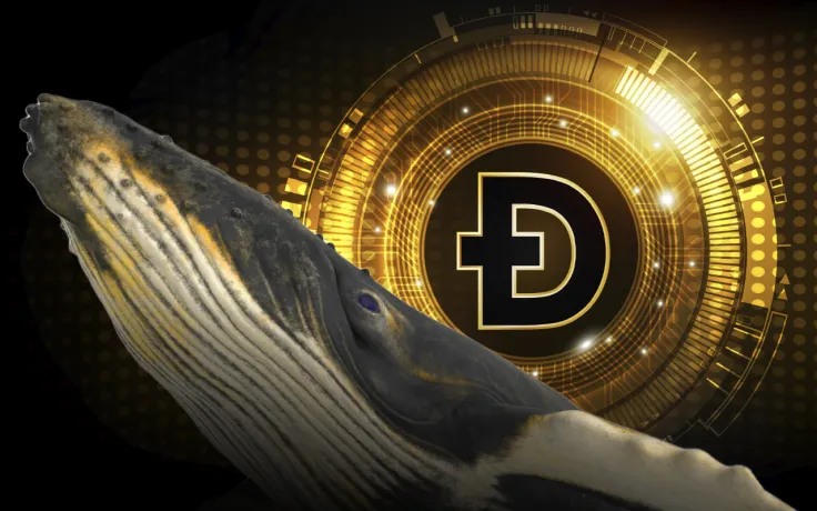 Whales Are Buying Dogecoin According to Smart-Contract Activity