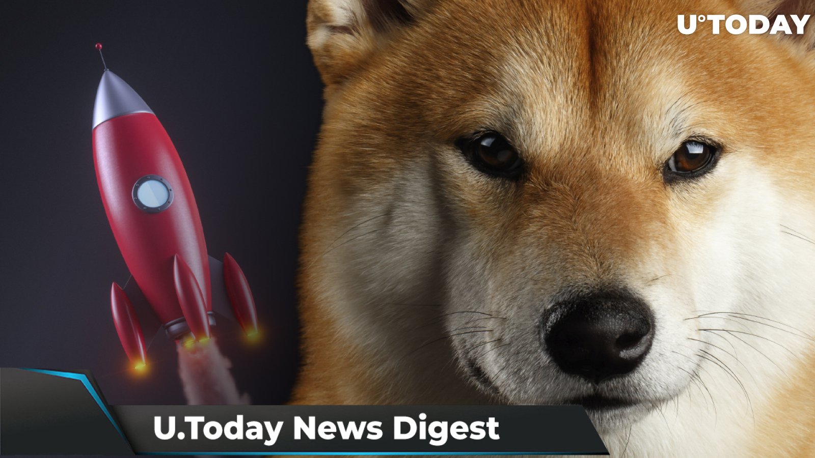 SHIB Soars 30%, Reaching 1 Million Holders, Dogecoin Shorts Hit ATH, 60 Million XRP Moved Between Exchanges: Crypto News Digest by U.Today