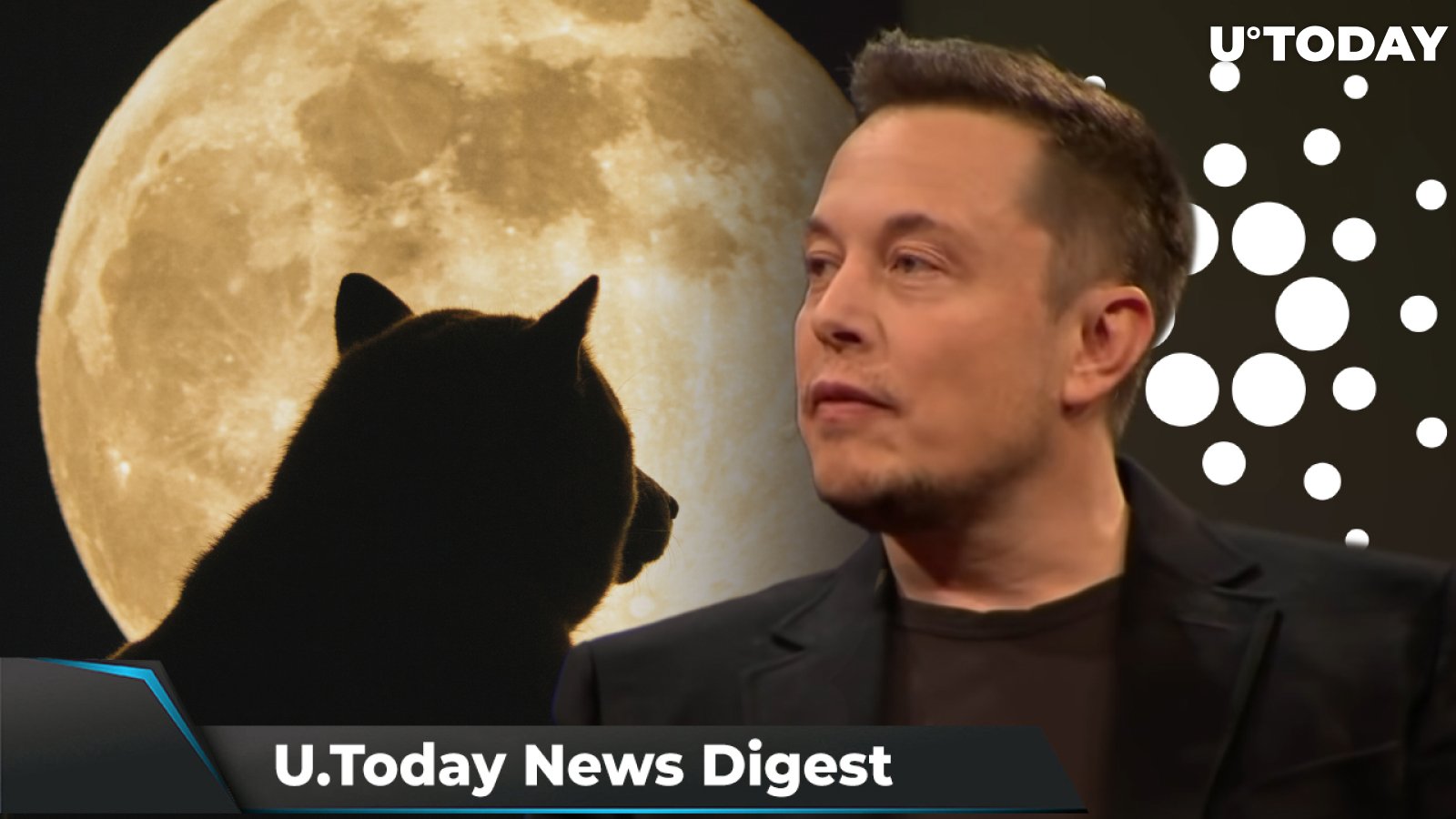 Newegg Will Accept SHIB, Cardano Down 50% from Its Peak, Musk Warns DOGE Holders Against Leveraged Trading: Crypto News Digest by U.Today