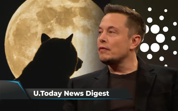 Newegg Will Accept SHIB, Cardano Down 50% from Its Peak, Musk Warns DOGE Holders Against Leveraged Trading: Crypto News Digest by U.Today