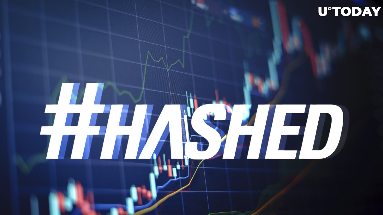 Hashed Is Developing Web3 by Launching $200 Million Venture Fund